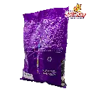 pingüinos RCO0351_4.webp