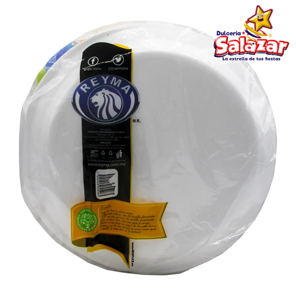 PLATO TERMICO REYMA PT10L REYM0184_2.webp