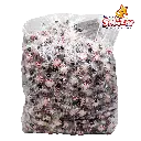 starlight pilow CAN0028_2.webp