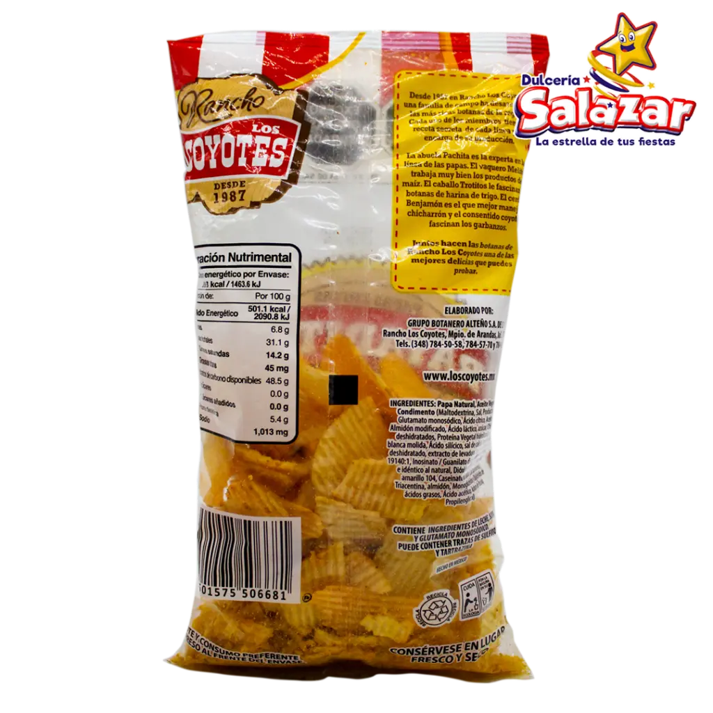 PAPA RAYADITA 70GR COY0064_2.webp