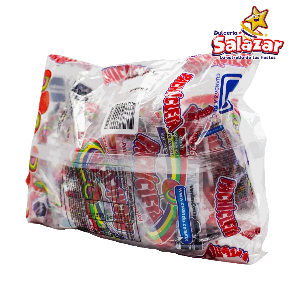 Pachicleta normalCHE0001_4.webp