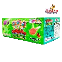 Jellyleta huellita HUB0042_2.webp