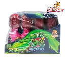 ROLLY SPLAHS TIN0016_2.webp