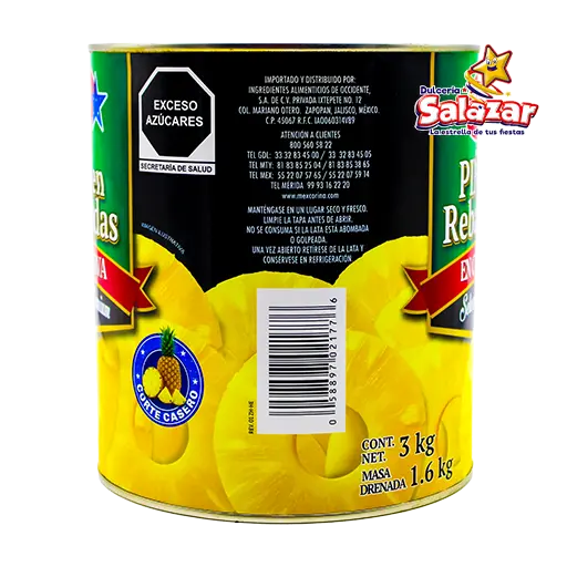 Piña rebanadas astra INT0022_3.webp