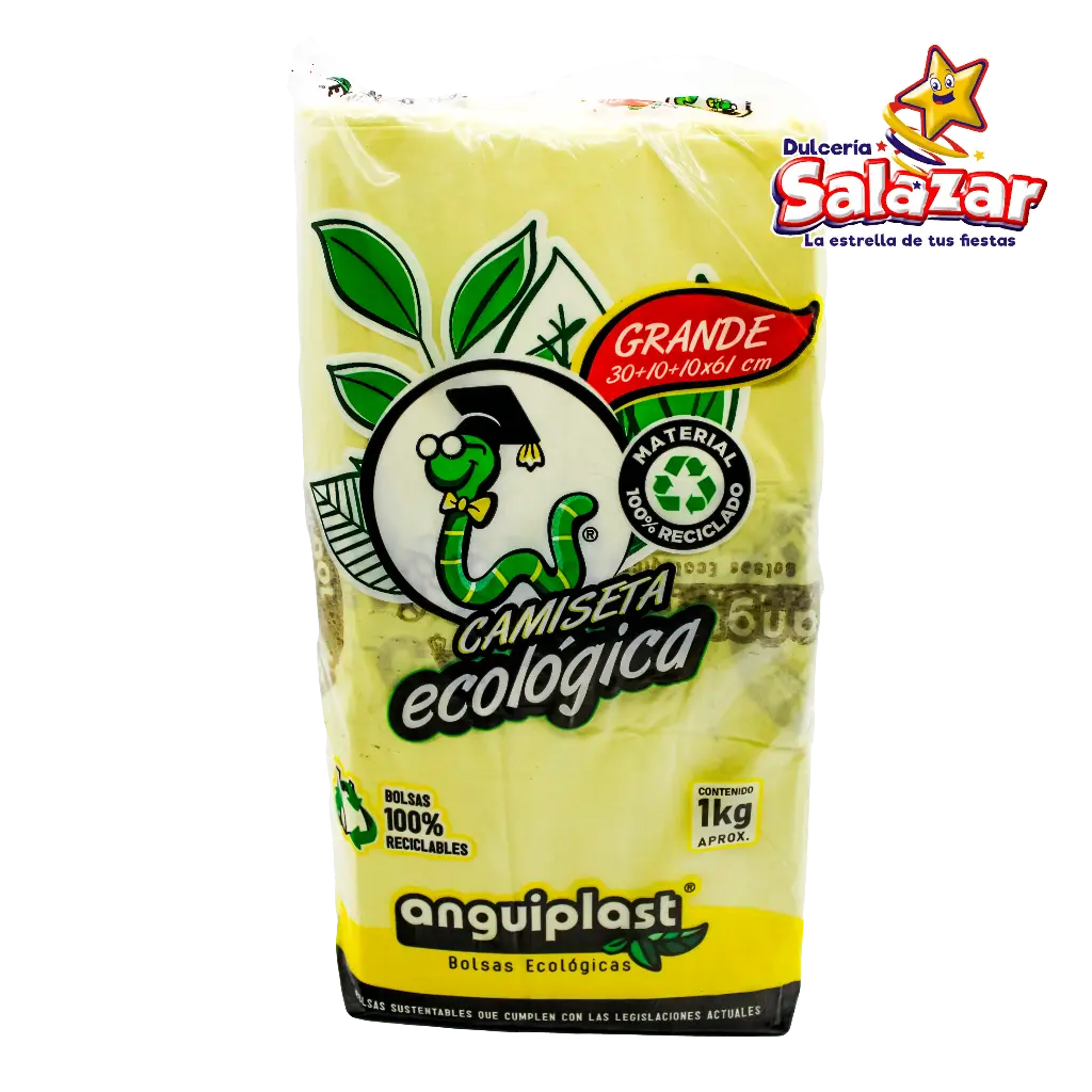 BOLSA ASA POLIPAPEL COLOR GRANDE ANGUIPL "B/25/1"