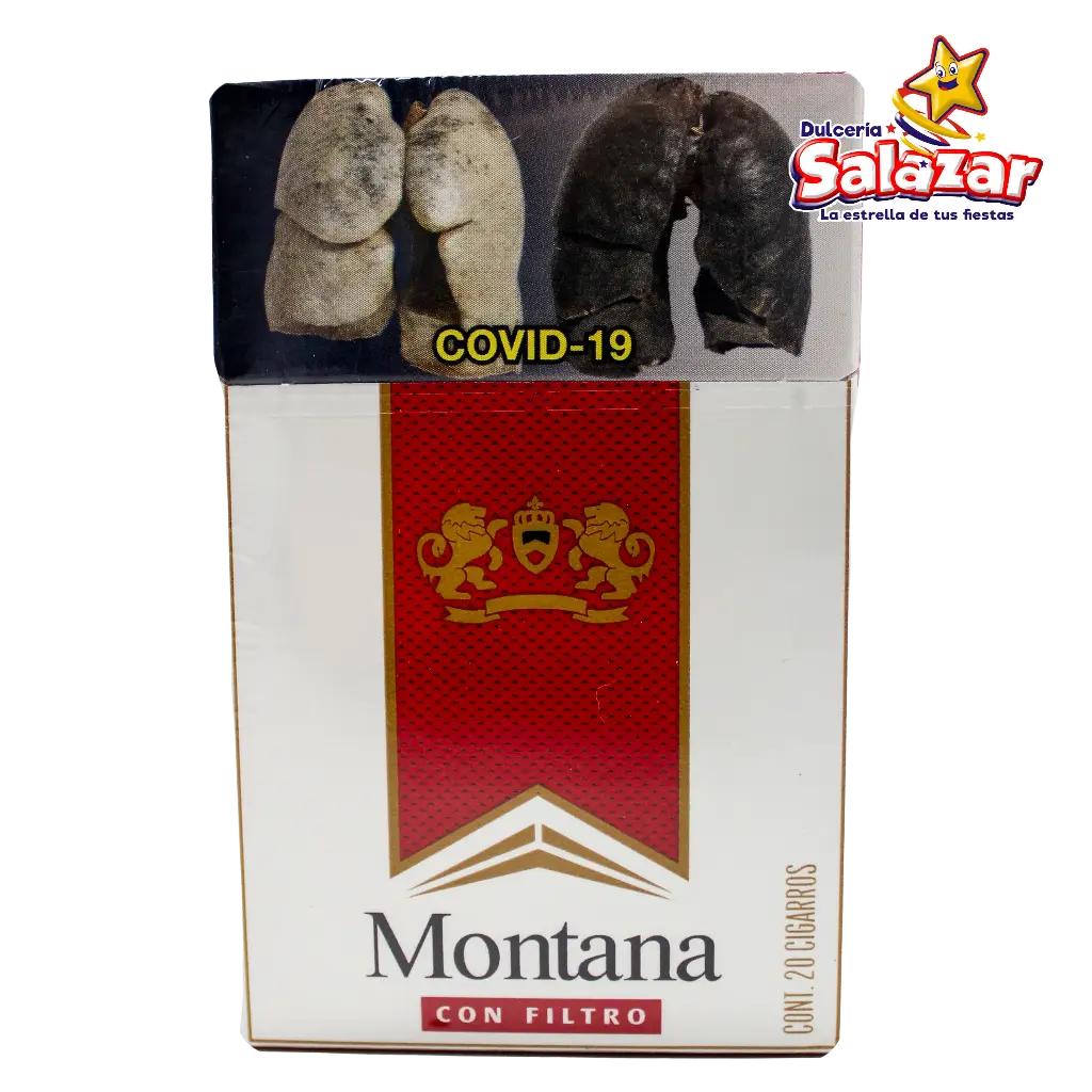 [CIGBAT0039] CIGARRO MONTANA BOOTS 20 (E) S C/FILTRO "P/10/1"