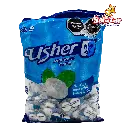 USHER SOBRE MENTA -B.310G- "C/40/100"