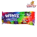 WINIS CONGELADAS SABORES SURTIDOS WINIS -D.10PZ- "C/12/10"